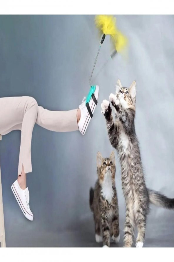 3B Trend Tüylü Kedi Ayak Oltası Kedi Oyuncağı Ele Ayağa Takılan Yaylı Olta Oyuncak 40 Cm - 2