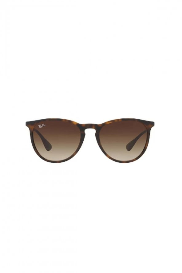 Ray-Ban 4171 / 865/13 Unisex Güneş Gözlüğü