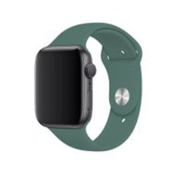 DESİNGSHOP Apple Watch 2 3 4 5 6 7 Se Uyumlu 38 40 41mm A+ Kaliteli Silikon Kordon Koyu Yeşil Renk - 2
