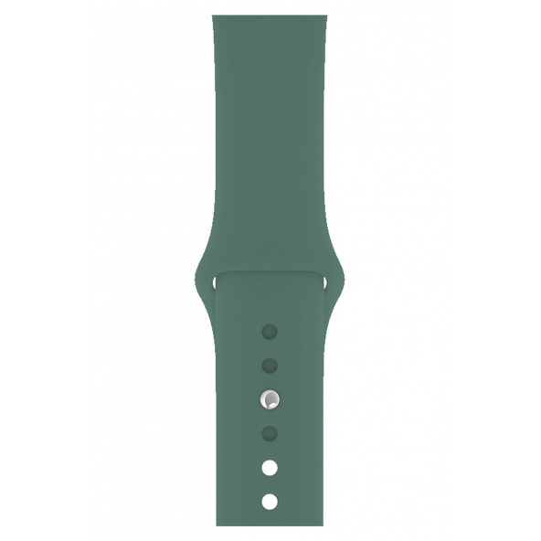 DESİNGSHOP Apple Watch 2 3 4 5 6 7 Se Uyumlu 38 40 41mm A+ Kaliteli Silikon Kordon Koyu Yeşil Renk - 3