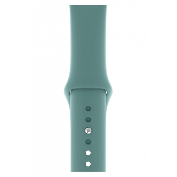 DESİNGSHOP Watch 2 3 4 5 6 7 Se 3 41mm A+ Kaliteli Silikon Kordon Uyumlu