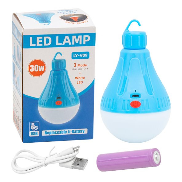 Powermaster LY-V09 Ampül - 3