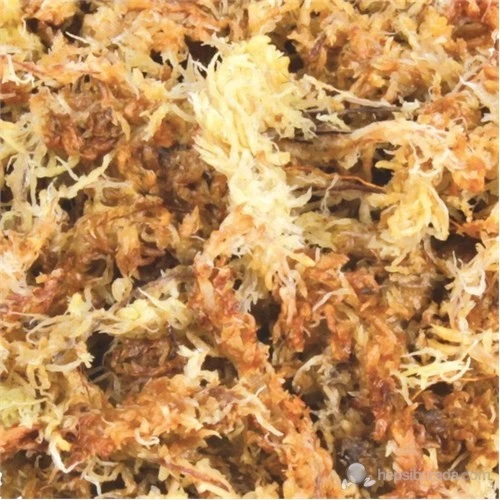 Trixie sürüngen bataklık yosunu 4,5 l - 2