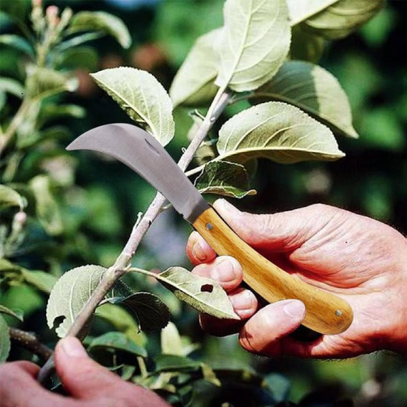 Aşı Bıçağı Profesyonel Çelik Eğri Uçlu Bağ Ağaç Budama Aşı Çakısı 195 mm Saplı Bıçak Çakı - 5