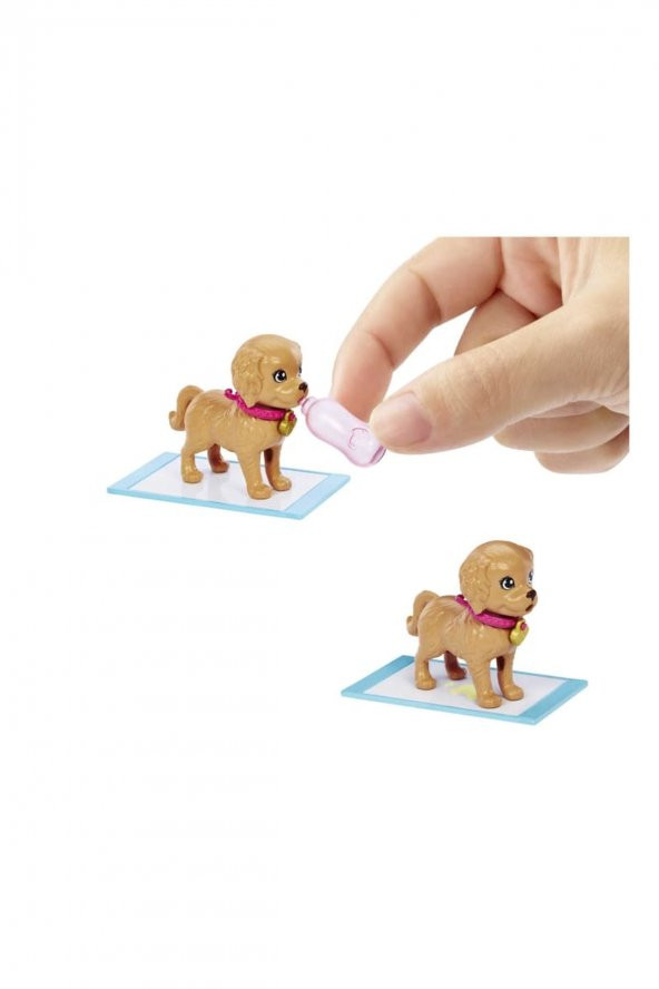 BARBİE VE KÖPEKÇİKLERİ OYUN SETİ HKD86 - 2