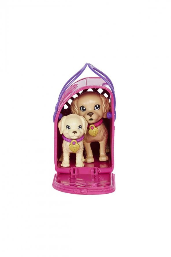 BARBİE VE KÖPEKÇİKLERİ OYUN SETİ HKD86 - 4