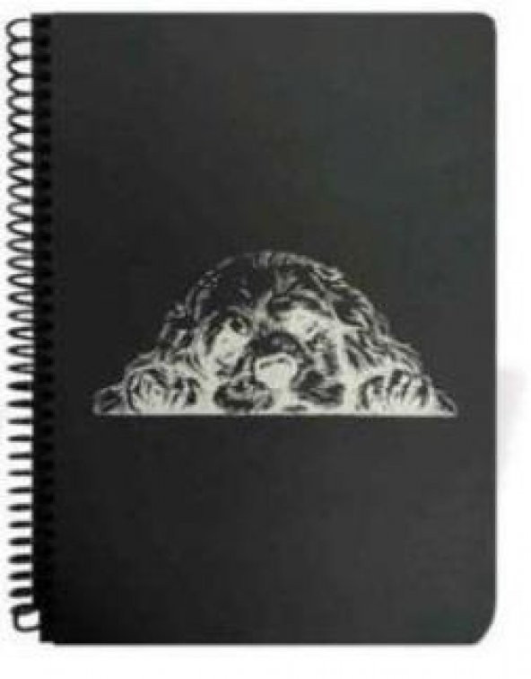 Liz 17x24 Spiralli Siyah Defter 120 R 40 Yp Syhp17 - 2
