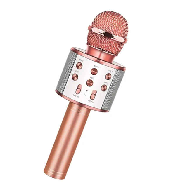 nefertiya Bluetooth Karaoke Mikrofon