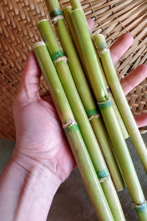 Alyones Bambu Çubuklar 20adet Doğal Zanaat Malzemesi, Rüzgar Çanları, Kamış Bitki Dalları, Dekor Parçaları