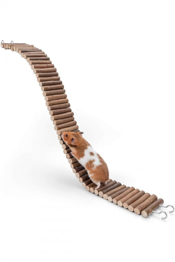 Alyones Hamsterler Için Asma Köprü, Küçük Evcil Hayvan Merdiveni, Eğlence Yolu