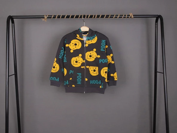Unisex Çocuk Winnie ve Pooh Baskılı Füme Renk Mevsimlik Kapüşonlu Hırka - 2