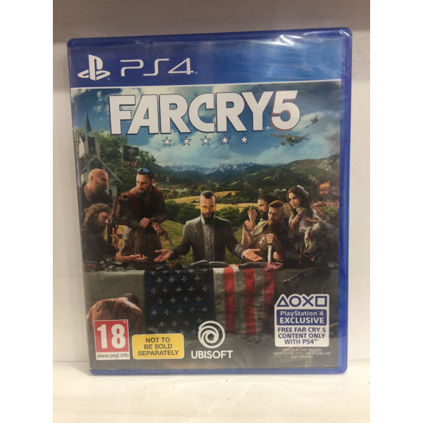 FAR CRY 5 PS4 OYUNU