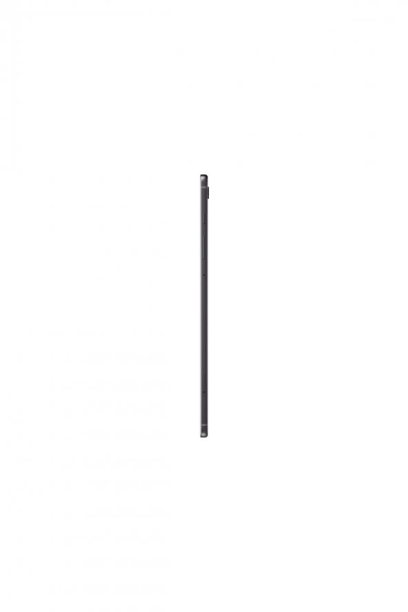 Samsung Galaxy Tab S6 Lite SM-P613 128 GB 10.4" Gri Tablet - 3