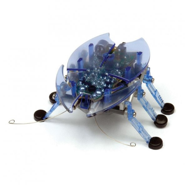 Hexbug Böcek Mavi