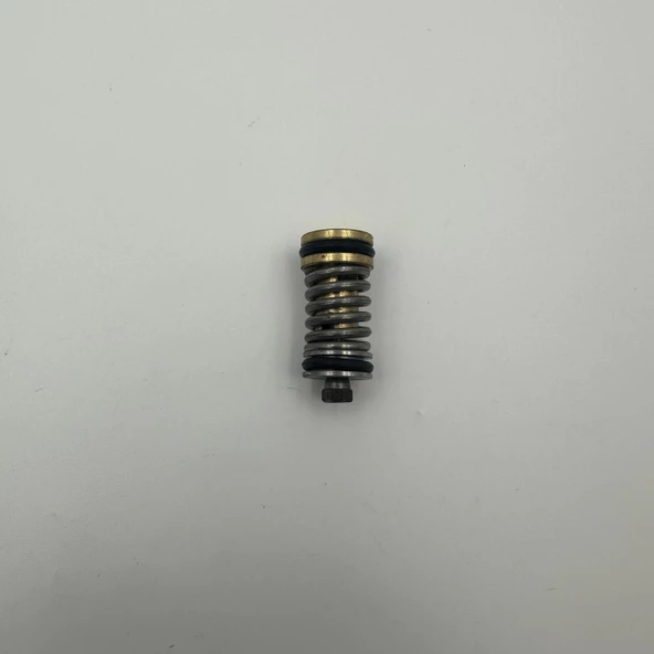 Amatör Tip Oto Yıkıma Makinesi Bypass Regülatör A Tipi - Resim 7