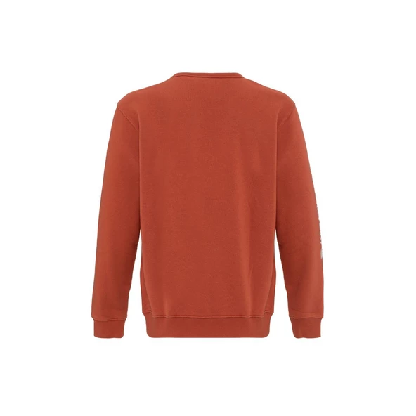 Quıksılver THE ORIGINAL CREW Erkek Sweatshırt EQYFT04793-QK.GSG0 - Resim 4