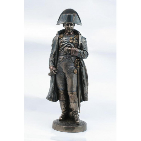 VERONESE BİBLOLAR-Wise Mitoloji & Tarih-WISE NAPOLYON-10x8x27,5 CM-JWU73446A4 ürün görseli