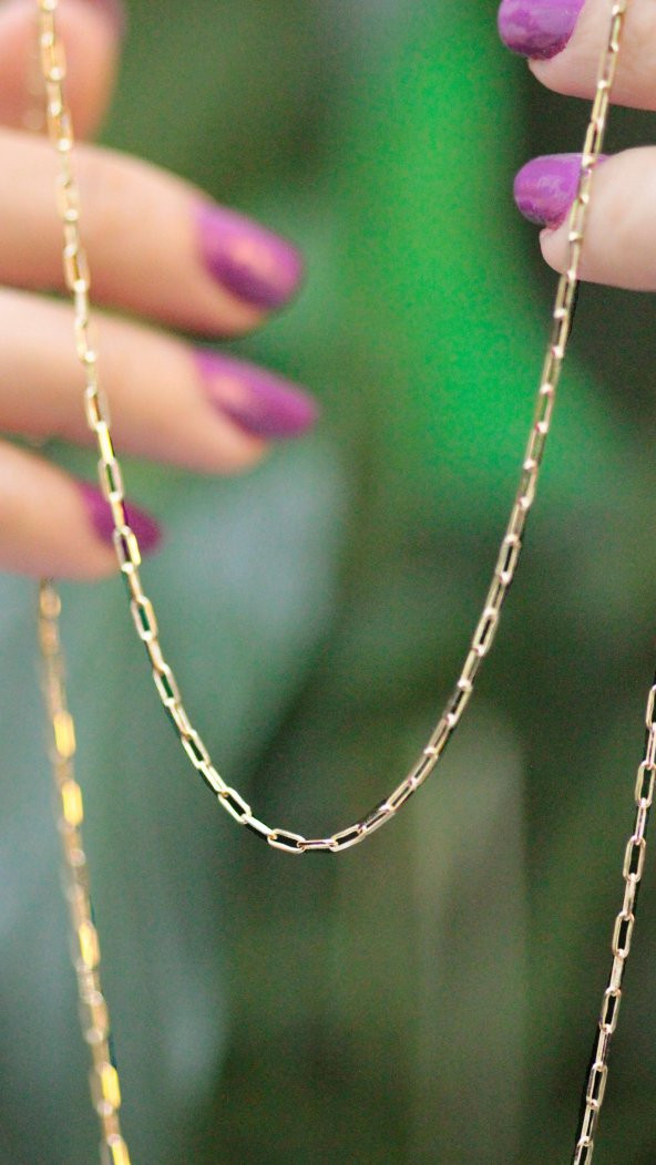 14 Ayar Altın İnce Ataç Zincir Kolye - Resim 4