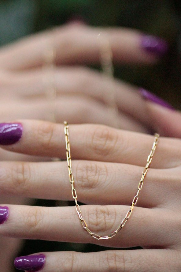 14 Ayar Altın İnce Ataç Zincir Kolye - Resim 6