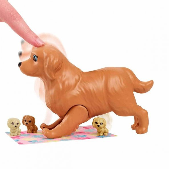 Barbie Ve Yeni Doğan Köpekler Oyun Seti Barbie Bebek Sarışın 29 Cm Yavrulayabilen Anne Köpek 3 Yavru Köpek Ve Aksesuarlar - 3