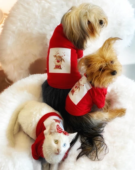 Rudolph Geyikli Köpek Tişörtü Yılbaşı Noel Christmas Köpek Elbisesi - 3
