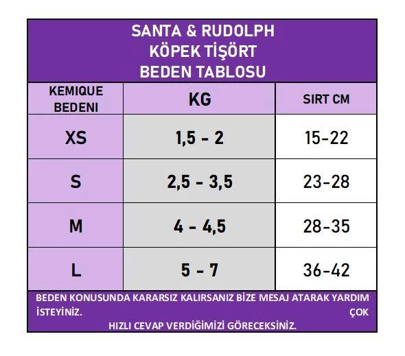 Santa and Friend Rudolph  Köpek Tişörtü Yılbaşı Noel Christmas Köpek Elbisesi - 4