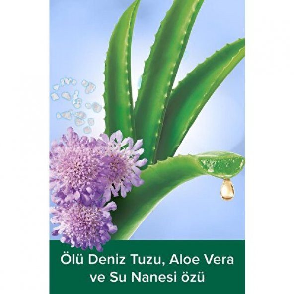 Palmolive Aroma Sensations Feel The Massage Peeling Etkilli Banyo ve Duş Jeli 500 ml - 3