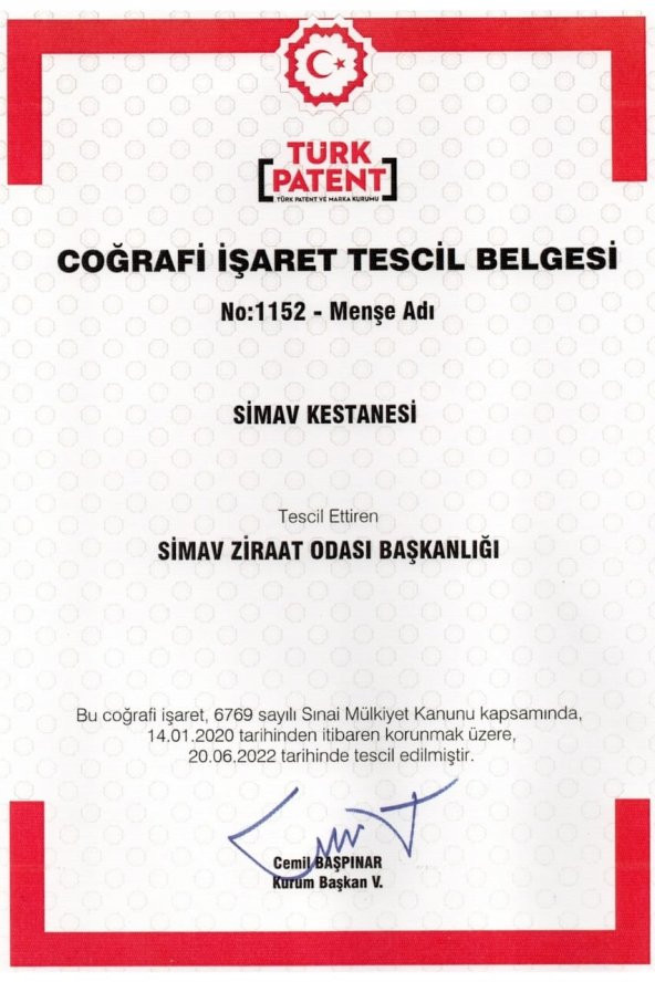 Simav Synaus Kestane Özlü ve Termal Sulu Sıvı Sabun 2'li Set - 4 Lt + 500 ml - 5