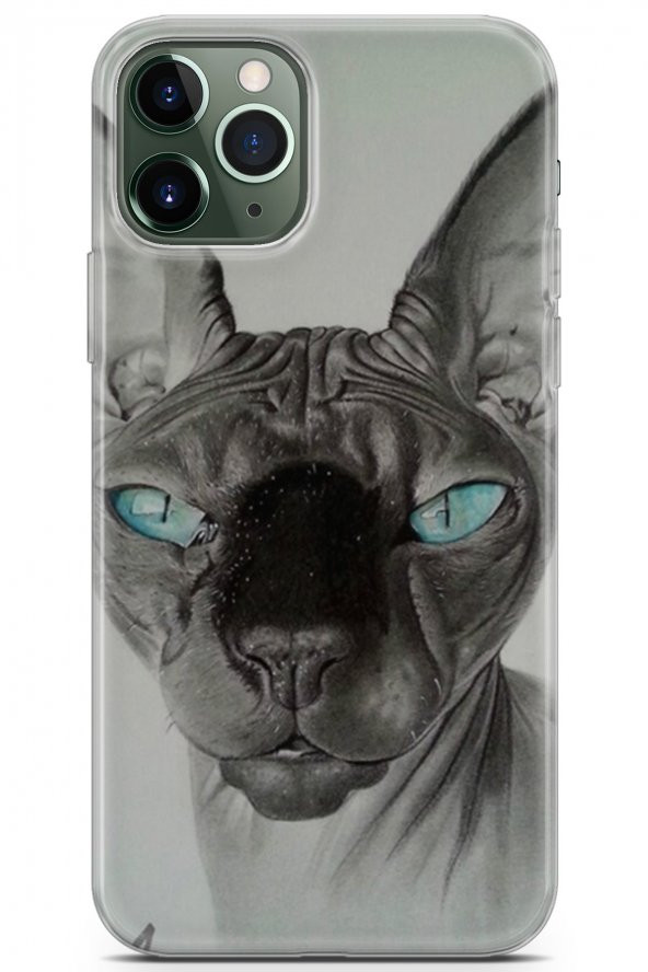Apple iPhone 11 Pro Max Uyumlu Kılıf Sfenks 29 Su Yeşili Göz Leke Tutmaz Kapak Deniz Mavi