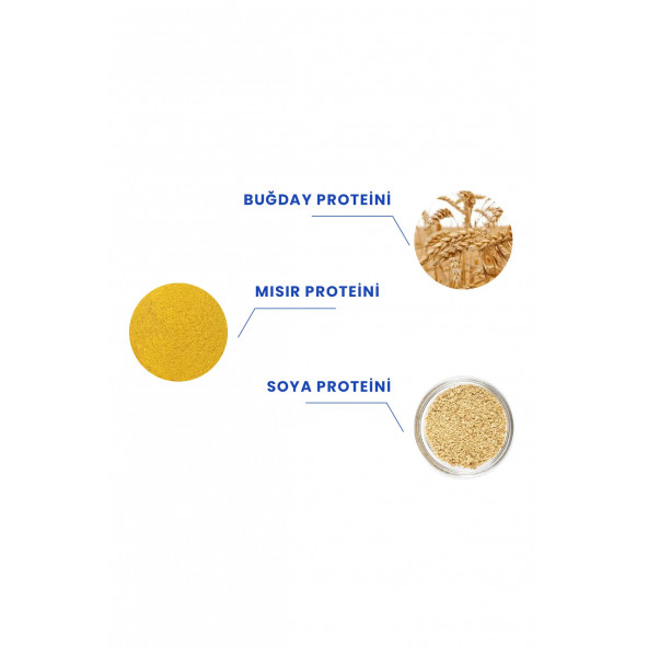 PROCSIN Magic Mix Kırılma Önleyici + Elektriklenme Karşıtı 2 Fazlı Saç Kondisyoneri 150ML - 3
