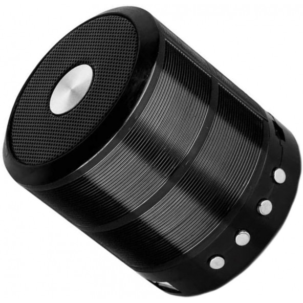 TT WS-887 Mini Metal Bluetooth Hoparlör TF Kart / USB /FM - 2