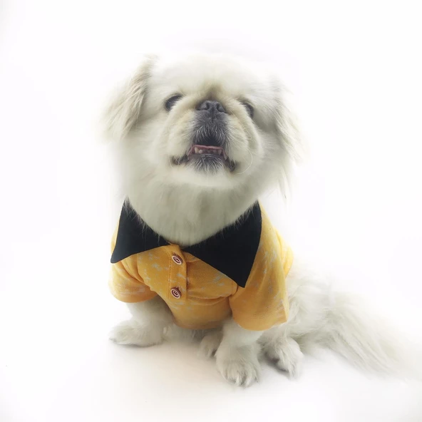 Orange Skies Polo Yaka Tişört Köpek Kıyafeti  Köpek Elbisesi - Resim 8