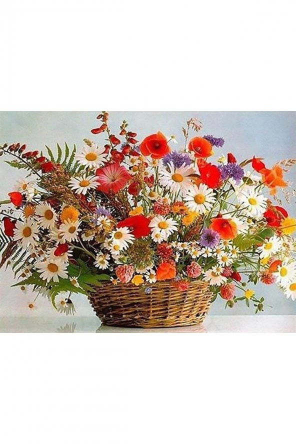 wombhobby Çiçek Sepeti Sayılarla Boyama Seti(40x50 Cm Tuval Şasesine Gerili)