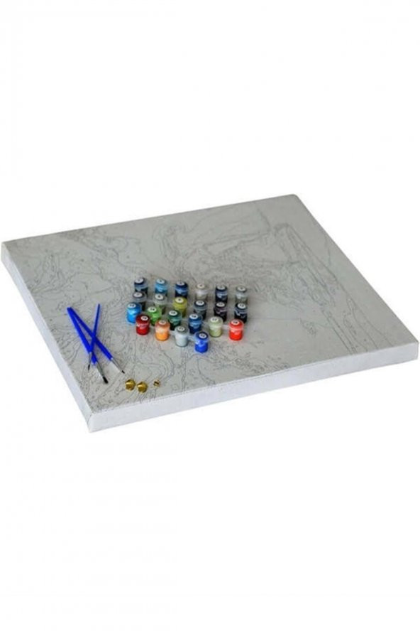 wombhobby Joker 2 Sayılarla Boyama Seti 50x65 Cm (tuvale Gerili) - 3