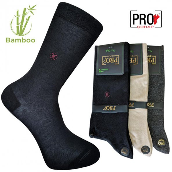 17135-3 Gori Bambu Erkek Çorabı