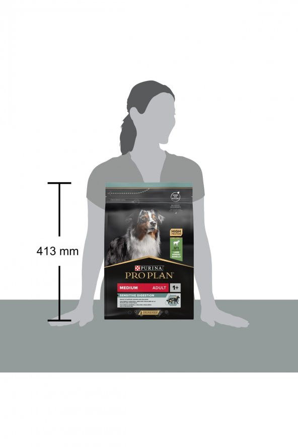 Köpek Maması Orta Irk Yetişkin Köpek Maması Kuzu Etli 3 kg - 4