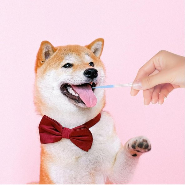 Dolar Kimya Pastör Pipet (Plastik) - 3 mL x 1000 ADET - Resim 4