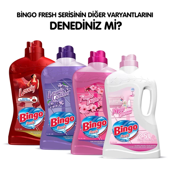Bingo Fresh Yüzey Temizleyici 2,5 lt Masal Ekonomi Paketi 4'lü - 6
