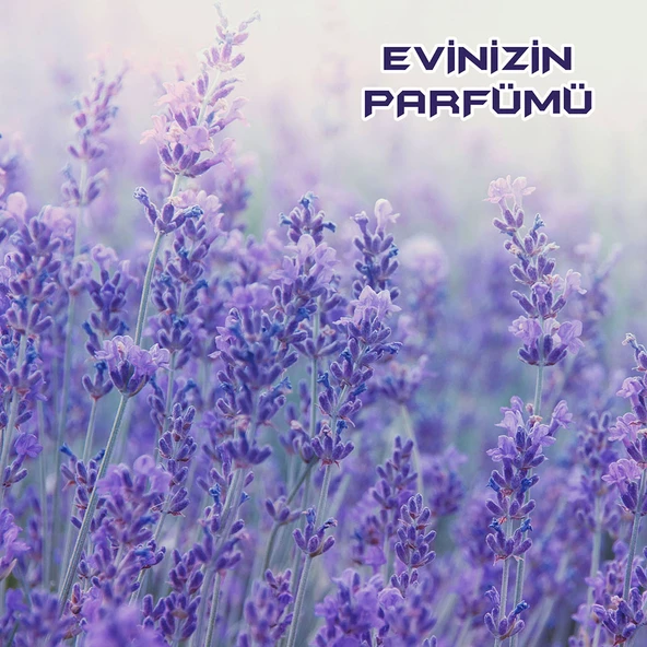 Bingo Fresh Yüzey Temizleyici 2,5 lt Lavanta Çiçekleri Ekonomi Paketi4'lü - 4