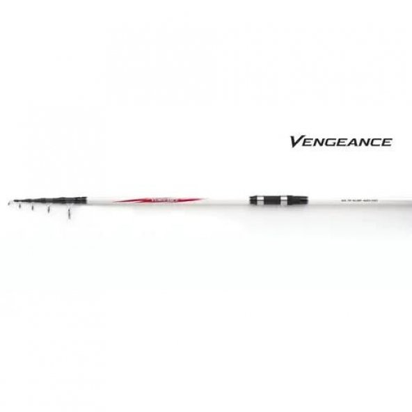 Shimano Vengeance CX TE 430 cm 170 gr Surf Olta Kamışı - 7
