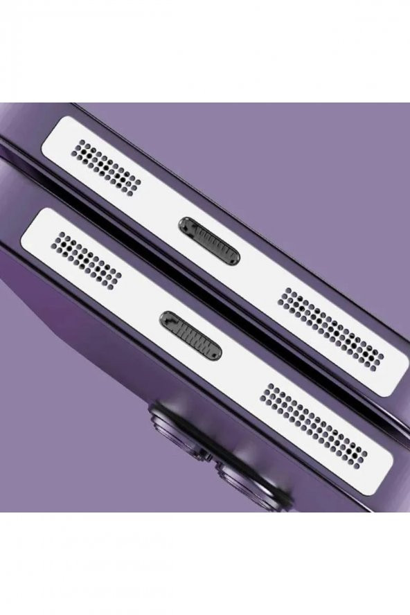 Uyumlu Metal Toz Geçirmez Sticker Iphone Kulaklık Hoparlör Deliği Anti Toz Önleyici - 4