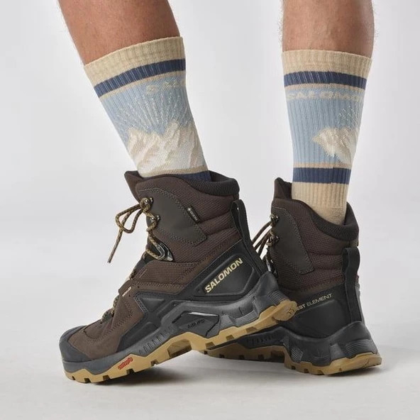SALOMON ERKEK QUEST ELEMENT GTX BOT L47216100 - 6