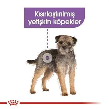 Royal Canin Mini Sterilised Küçük Irk Kısırlaştırılmış Yetişkin Köpek Maması 3 Kg - 4