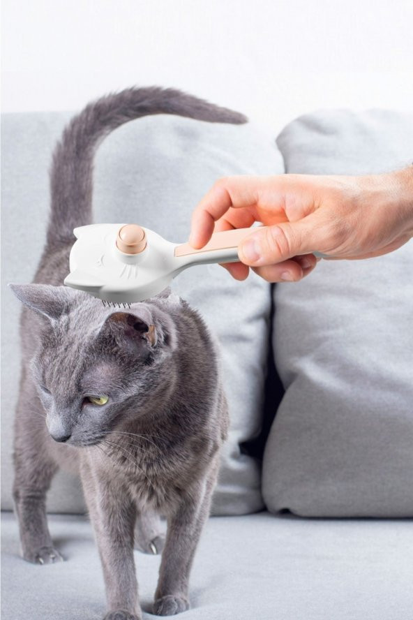 Kedi Tarağı - 3