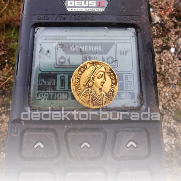 Deus 2 Dedektör - 28cm FMF Başlık, Ana Kontrol Ünitesi, WSA2XL Kulaklık - 11