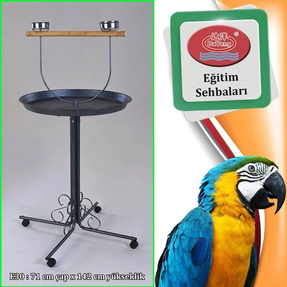 Dayang Papağan Eğitim Sehpası 70X145