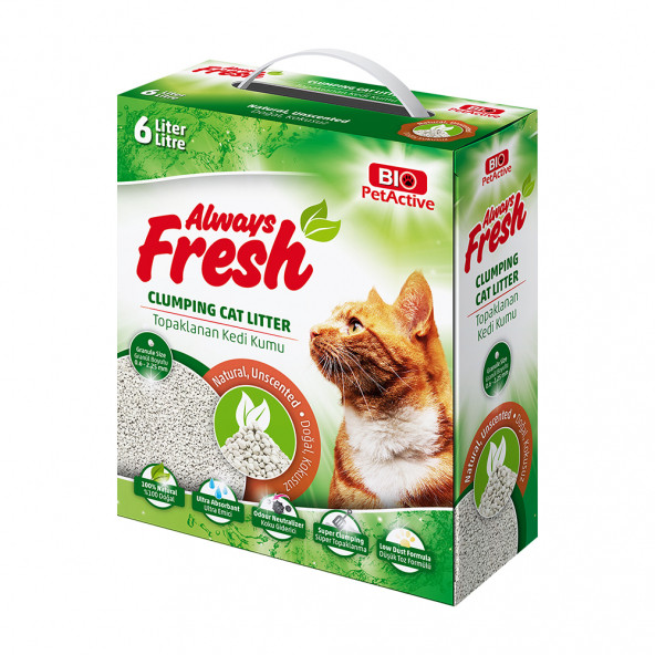 Always Fresh Kedi Kumu Bentonit Doğal Kokusuz 6 Lt Clumping Cat Litter