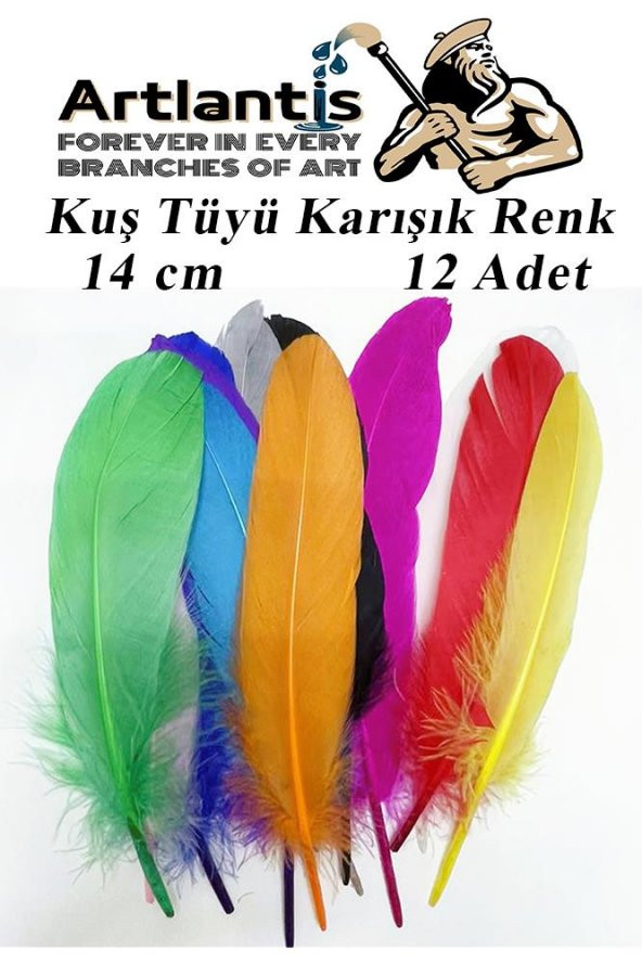 Kuş Tüyü Renkli 12 Li 1 Paket 14 cm Tüy Karışık Renk Hobi Okul Öncesi Kreş Anasınıfı Kuş ve Kaz Tüyü Renkli