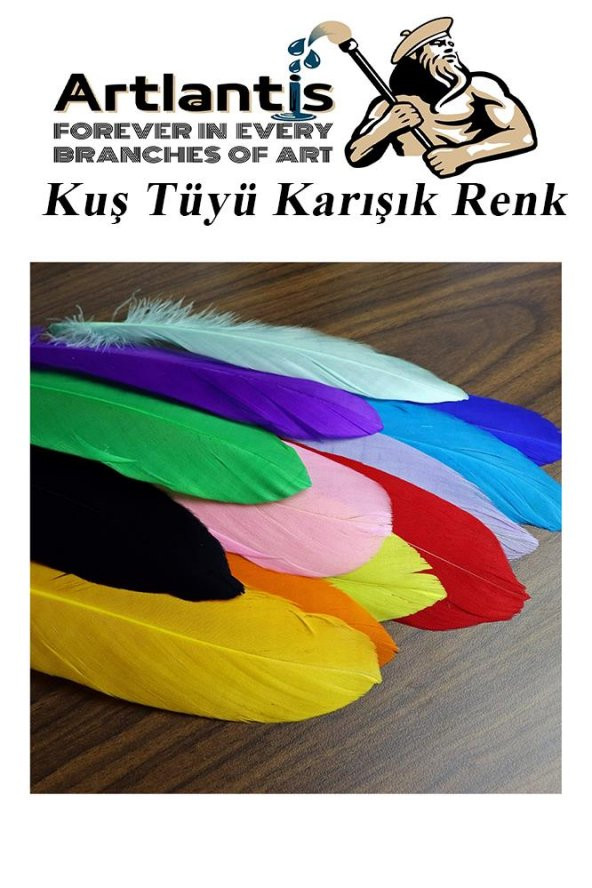 Kuş Tüyü Renkli 12 Li 1 Paket 14 cm Tüy Karışık Renk Hobi Okul Öncesi Kreş Anasınıfı Kuş ve Kaz Tüyü Renkli - 4