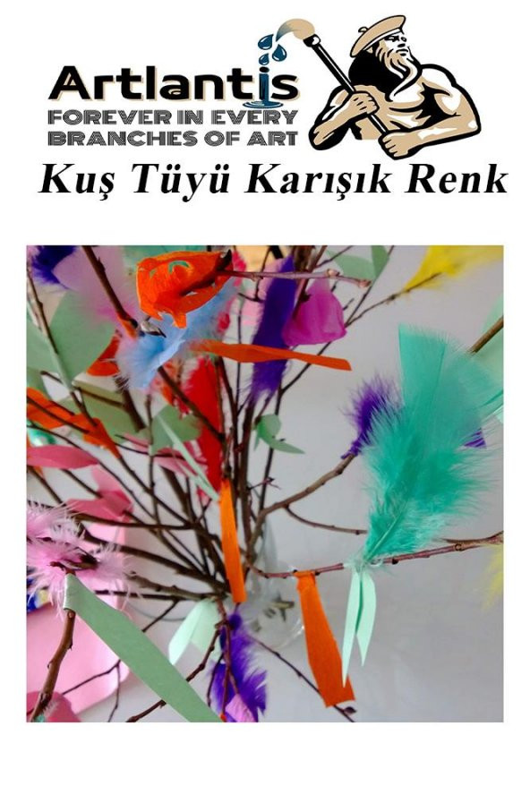 Kuş Tüyü Renkli 12 Li 1 Paket 14 cm Tüy Karışık Renk Hobi Okul Öncesi Kreş Anasınıfı Kuş ve Kaz Tüyü Renkli - 5